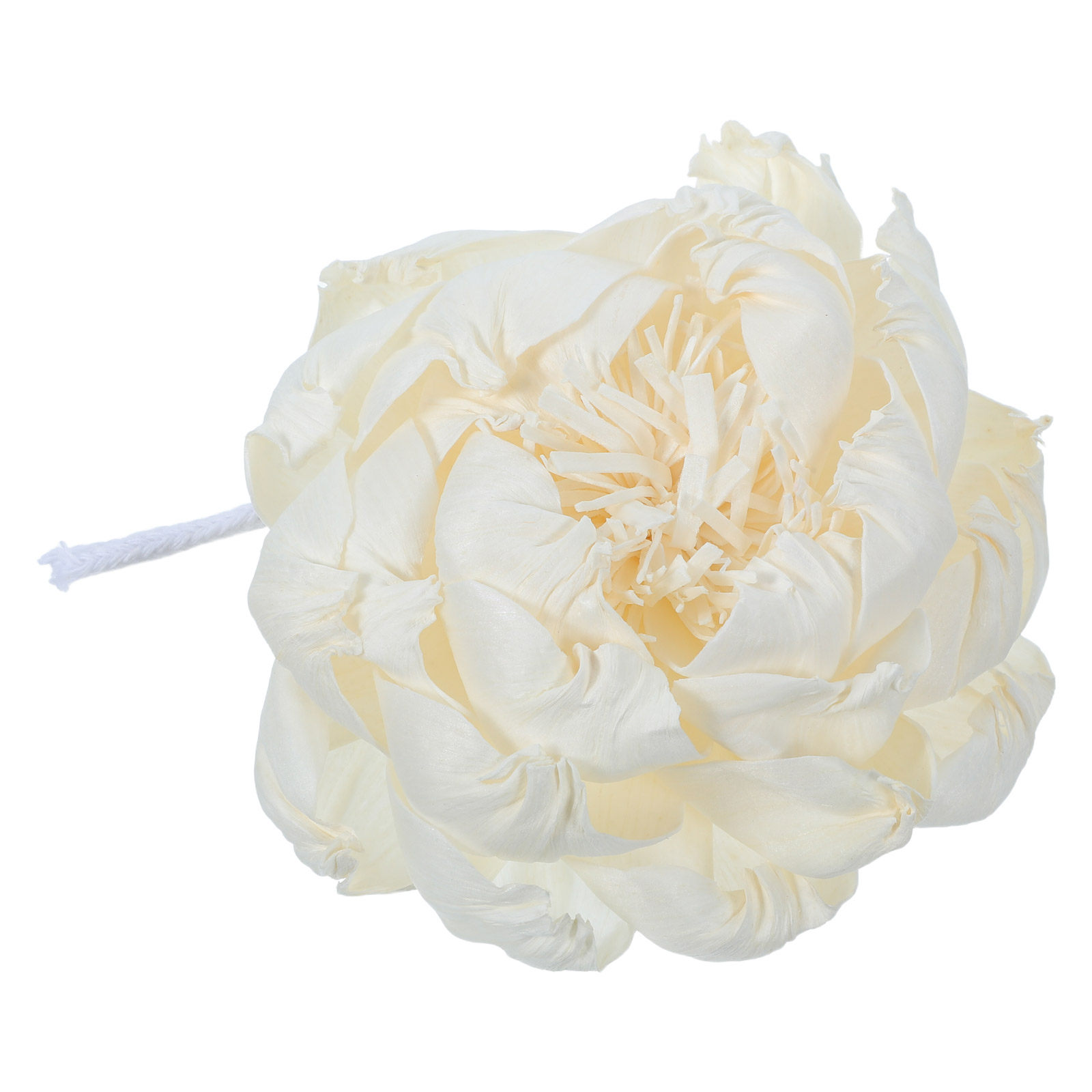 Dyfuzor zapachowy z głową piwo – Home Fragrances recenzja i cena