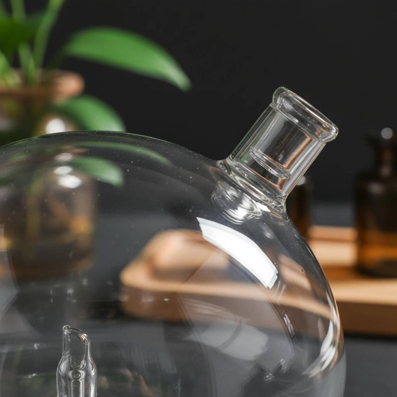 Uniwersalna szklana butelka za – Home Fragrances recenzja i cena